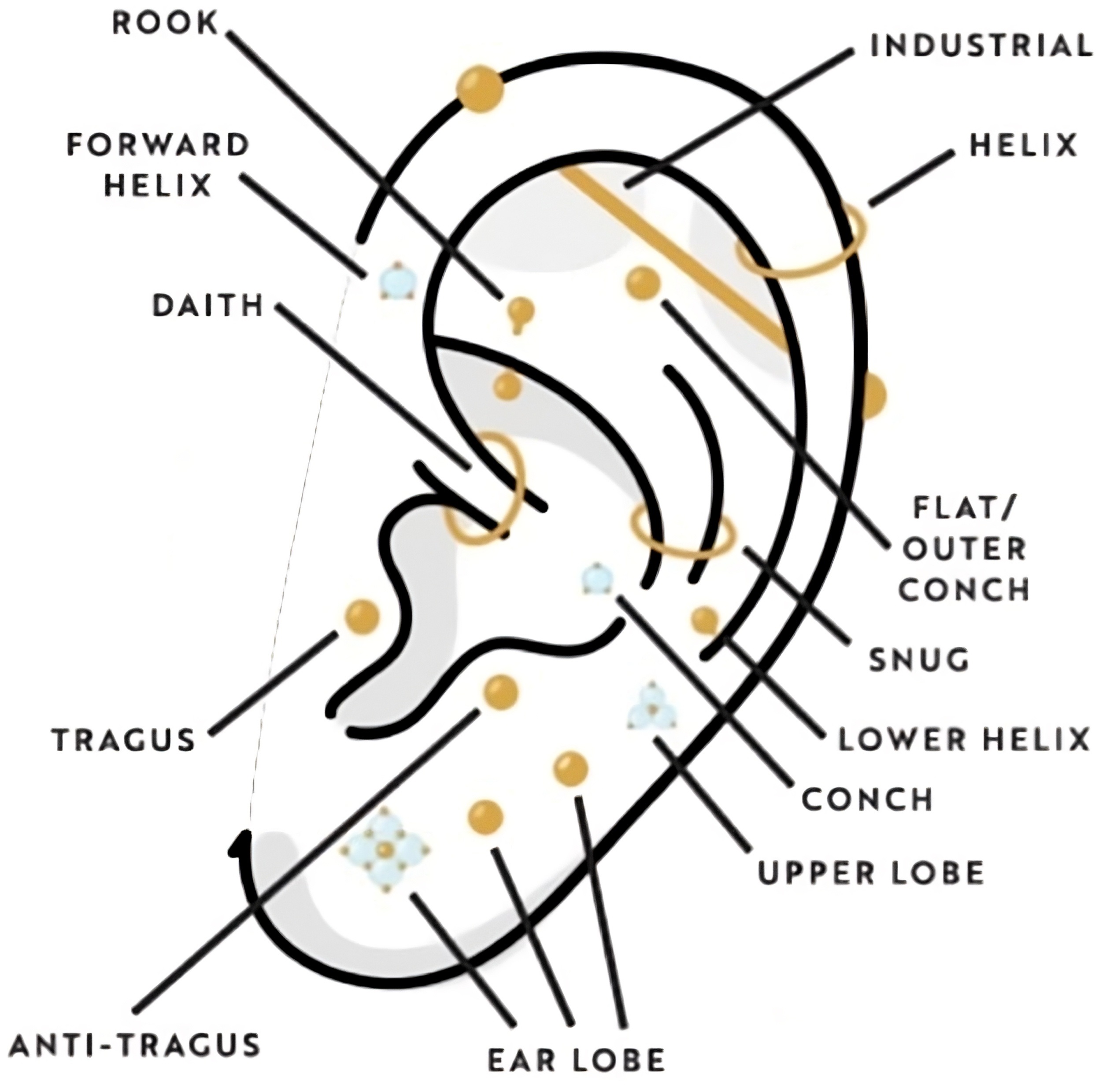 Referência para Piercing Orelha