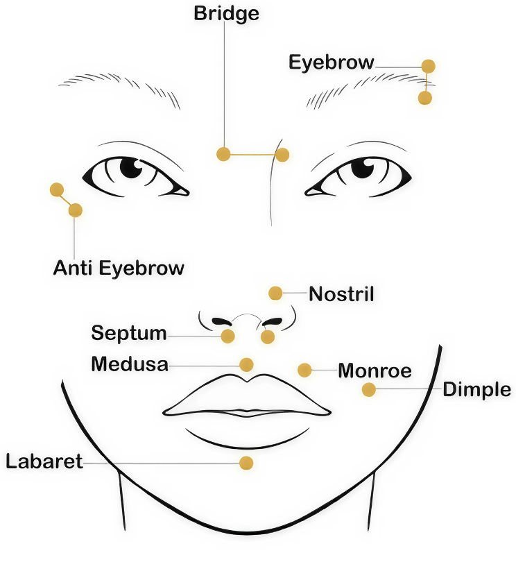 Referência para Piercing Facial (Cara)