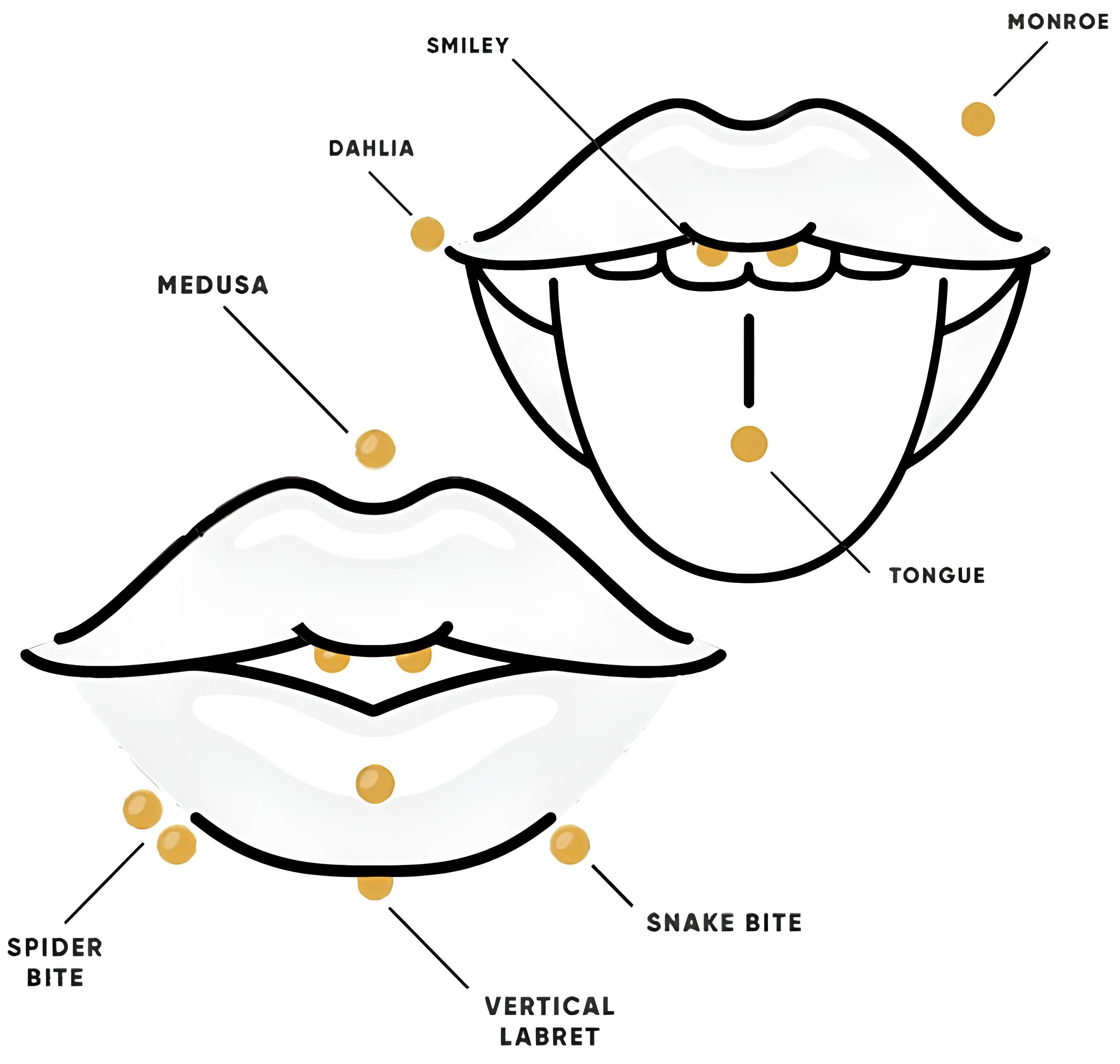 Referência para Piercing Oral (Boca)